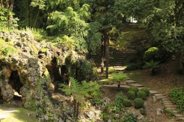 Bir şehir parkında bitki örtüsü