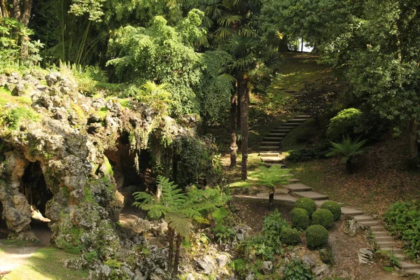 Bir şehir parkında bitki örtüsü