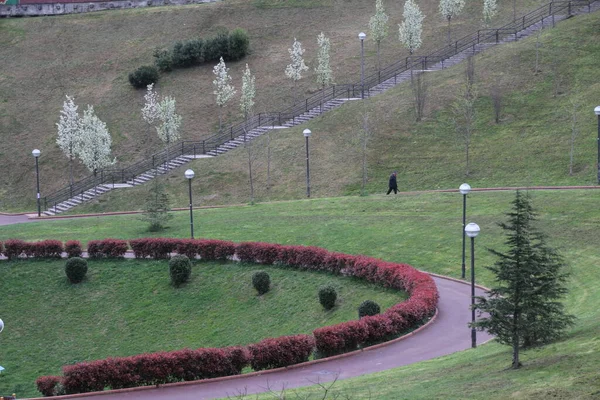 Bir şehir parkında bitki örtüsü