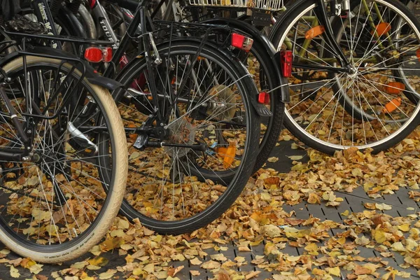 Andar Bicicleta Cidade — Fotografia de Stock