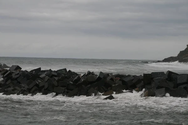 View Sea Shore — Stock Photo, Image