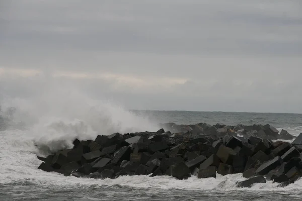 Blick Auf Das Meer Vom Ufer Aus — Stockfoto