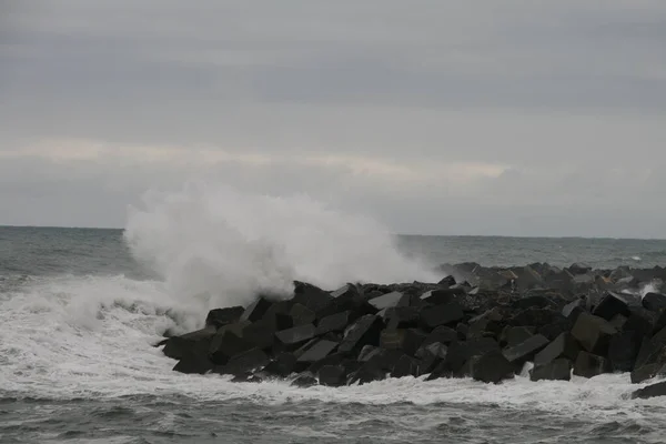 View Sea Shore — Stock Photo, Image