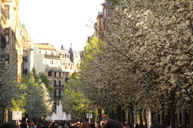 San Sebastian şehrinin manzarası