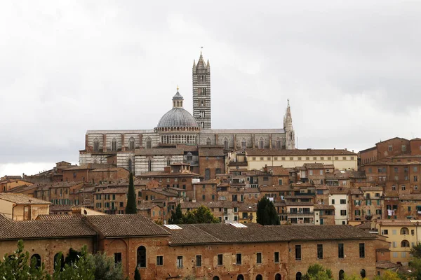 Patrimonio Artístico Ciudad Siena Italia — Foto de Stock