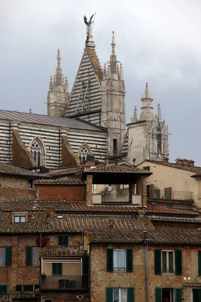 Patrimonio Artístico Ciudad Siena Italia —  Fotos de Stock