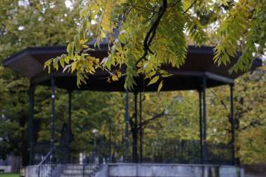 Şehir parkında sonbahar