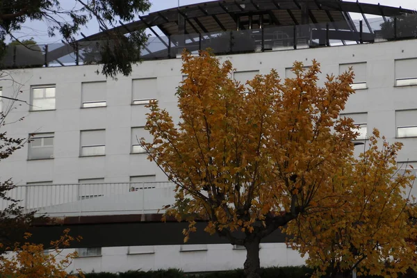 Herfst Een Stedelijk Park — Stockfoto