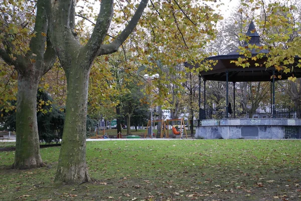 Herfst Een Stedelijk Park — Stockfoto