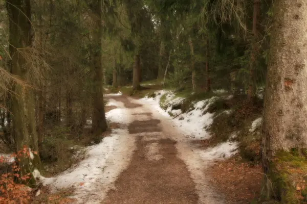 Camino Campo — Foto de Stock