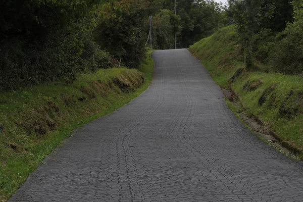 Caminho Campo — Fotografia de Stock