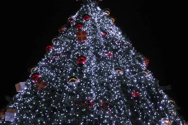 Dekoration Zur Weihnachtszeit — Stockfoto