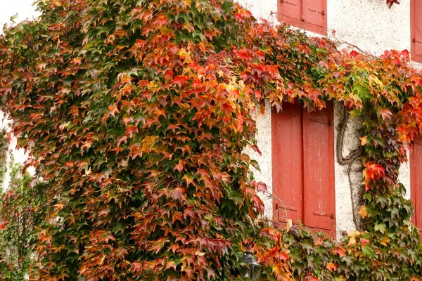 Colores Otoñales Una Fachada Casa Espelette Francia — Foto de Stock