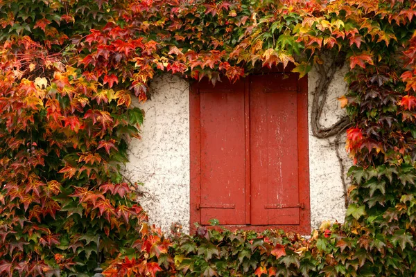 Colores Otoñales Una Fachada Casa Espelette Francia — Foto de Stock