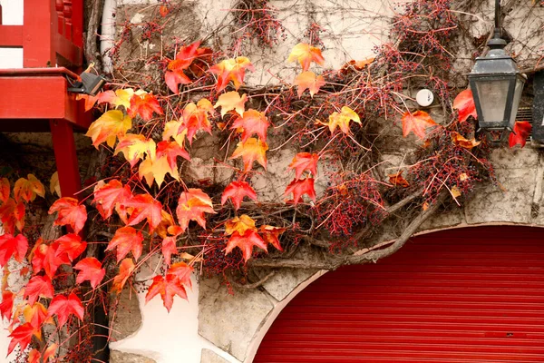 Colores Otoñales Una Fachada Casa Espelette Francia — Foto de Stock