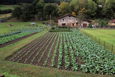 Kırsaldaki Bask evi.