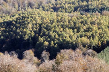 Bilbao dağlarında manzara