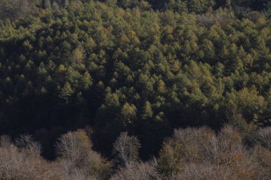 Bilbao dağlarında manzara