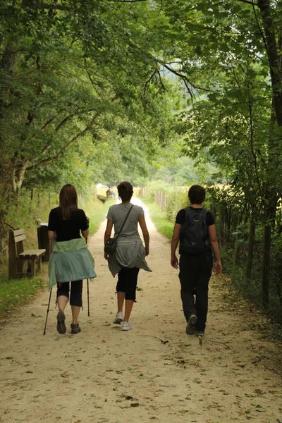 Wandern Der Landschaft Des Baskenlandes — Stockfoto