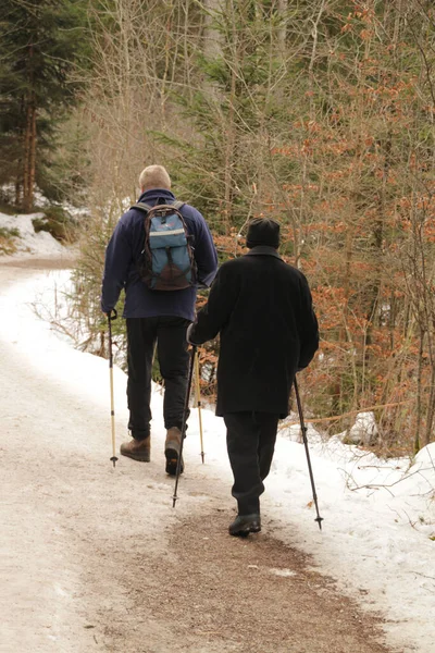 Bask ülkesinin kırsalında yürüyüş yapmak