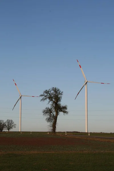 Windmühlen Auf Dem Land — Stockfoto