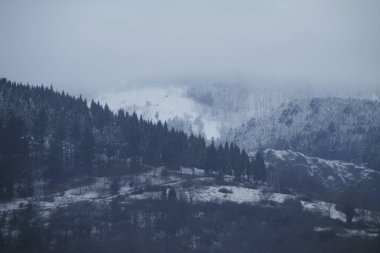 Kırsalda kar yağıyor.