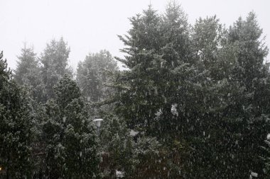 Kırsalda kar yağıyor.