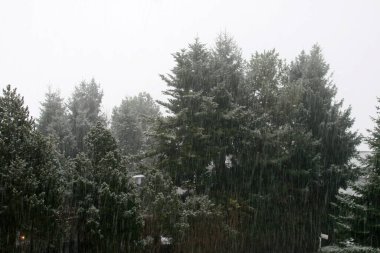 Kırsalda kar yağıyor.