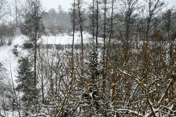 Schnee Auf Dem Land — Stockfoto