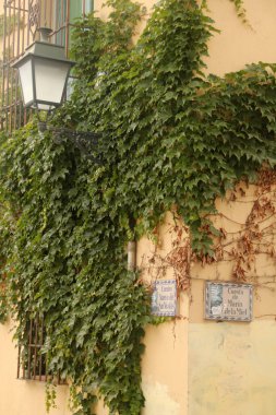 İspanya 'nın eski Granada kentinin manzarası