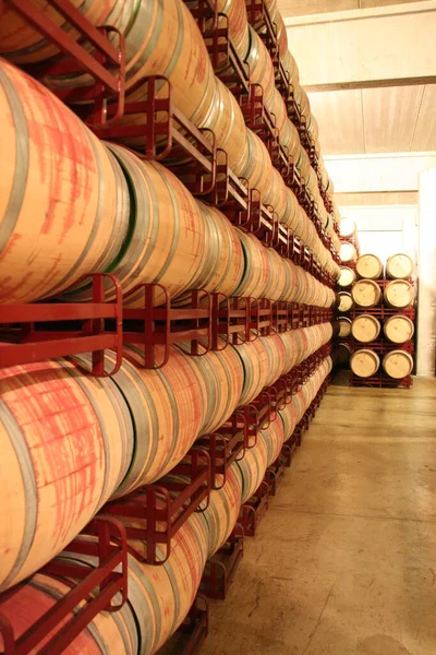 Barricas Apiladas Una Bodega — Foto de Stock