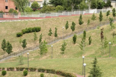 Şehir parkı manzarası