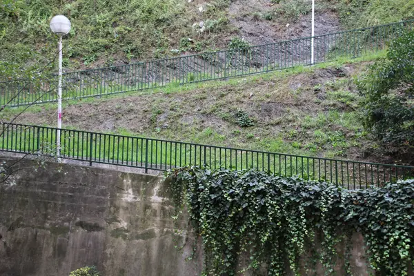 Uitzicht Een Stadspark — Stockfoto