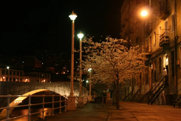 Híd Bilbao Torkolatánál — Stock Fotó