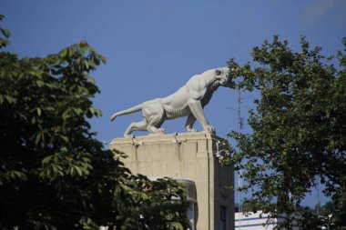 Geceleri Bilbao 'da kaplan heykeli