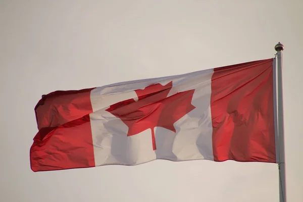 Offizielle Flagge Von Kanada — Stockfoto