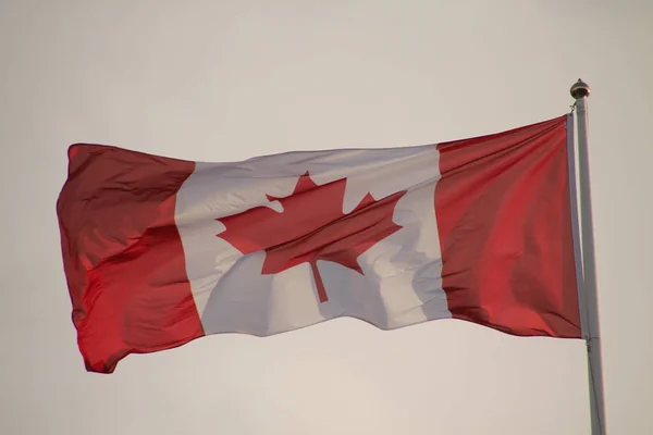 Bandera Oficial Canada — Foto de Stock