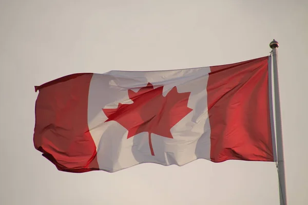 Bandera Oficial Canada — Foto de Stock