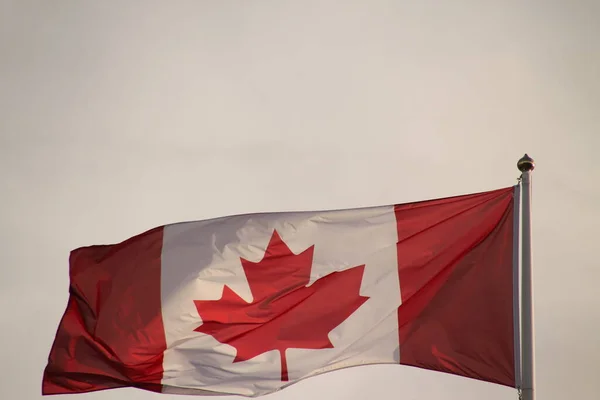 Bandera Oficial Canada — Foto de Stock