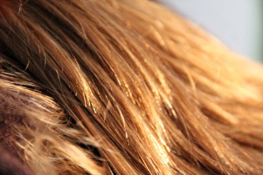 Uzun saçlarını kapat.