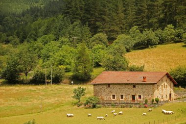 Kırsaldaki tipik Bask evi.