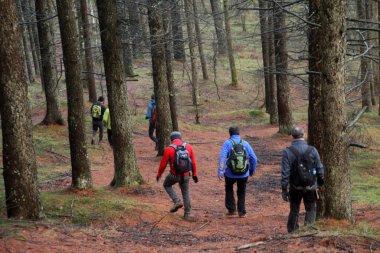 Bask ülkesinin dağlarında yürüyüş.