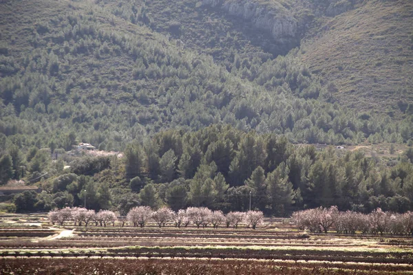 スペインのインテリアの風景 — ストック写真