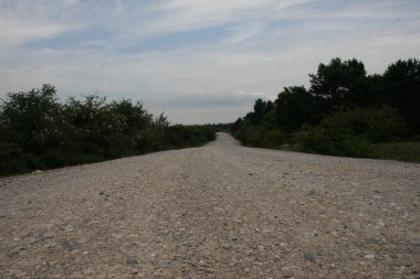 Bir şehir parkında yol