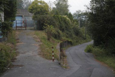 Bir şehir parkında yol
