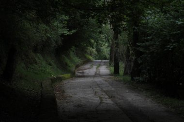 Bir şehir parkında yol