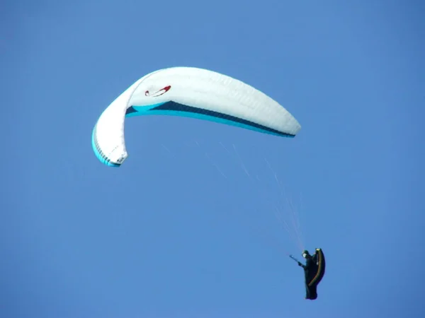 Paragliden Een Zomerdag — Stockfoto