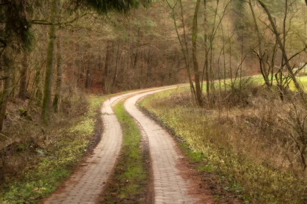 Chemin Dans Parc Urbain — Photo