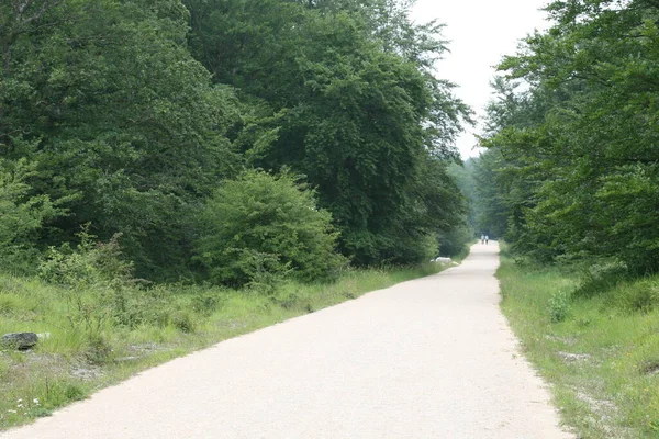 Pfad Stadtpark — Stockfoto