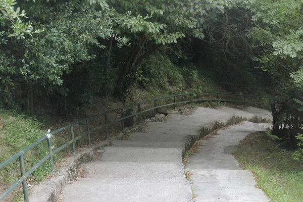 Pfad Stadtpark — Stockfoto